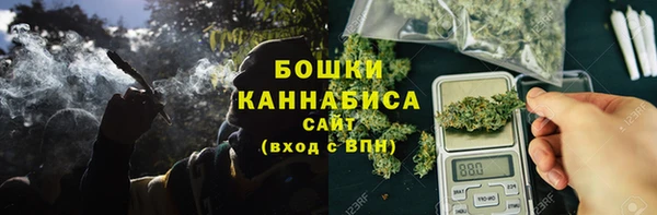каннабис Новозыбков