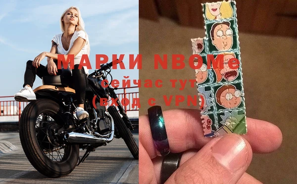 шишки Новодвинск
