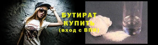 шишки Новодвинск