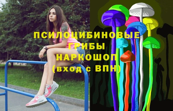 каннабис Новозыбков