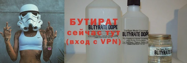 шишки Новодвинск