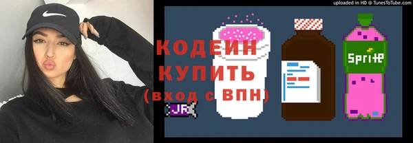 шишки Новодвинск