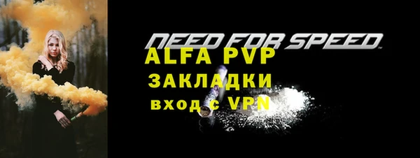 шишки Новодвинск
