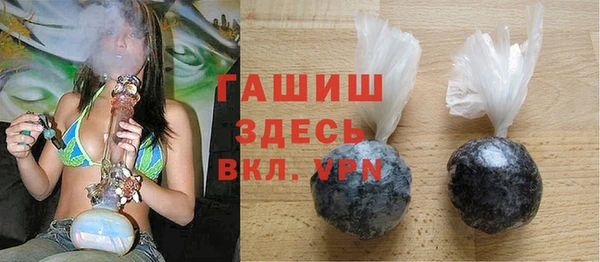 шишки Новодвинск