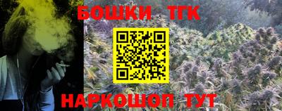 крисы Абакан