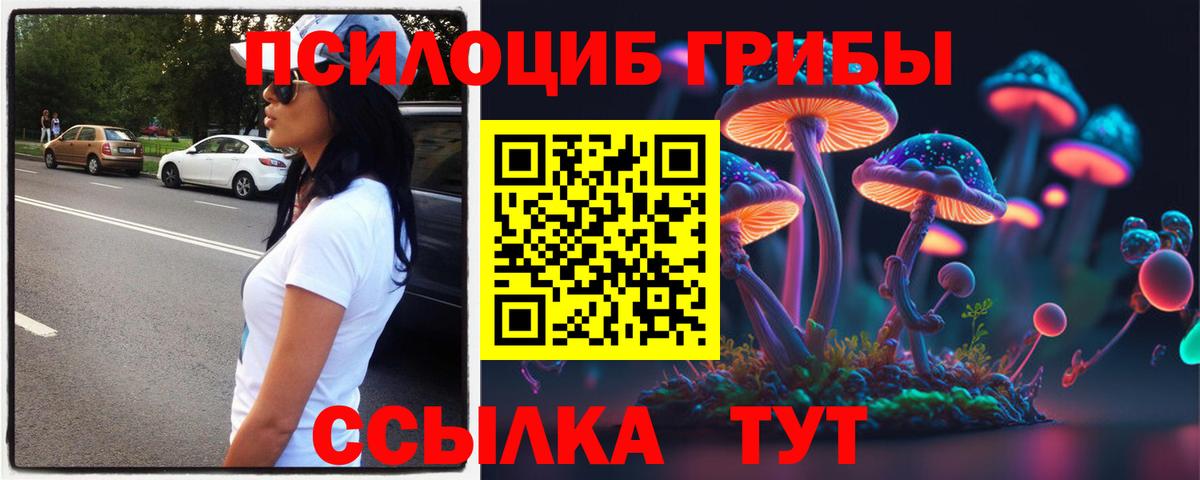 Псилоцибиновые грибы прущие грибы Алексин