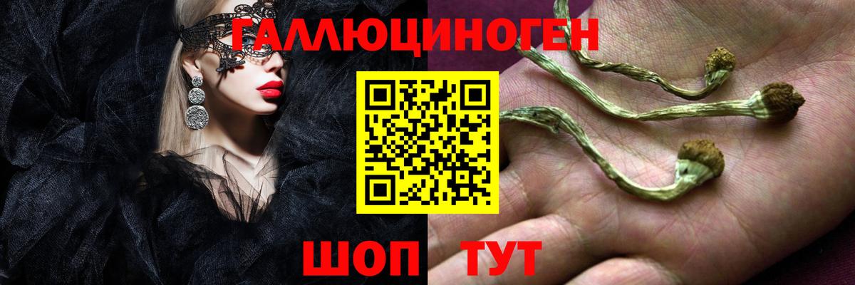 Галлюциногенные грибы мухоморы  Вход с VPN  Алексин  Псилоцибиновые грибы MAGIC MUSHROOMS 